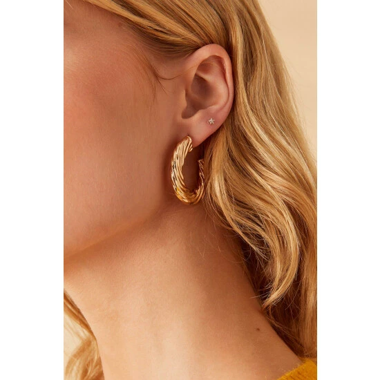 Accessorize Twisted Chunky Hoop Earrings For Female 4 Accessorize Twisted Chunky Hoop Earrings For Female - Image 2