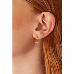 Accessorize Gold-Plated Modern Heirloom T-Bar Earrings For Female 8 Accessorize Gold-Plated Modern Heirloom T-Bar Earrings For Female -Accessorize Shop unnamed file 2003