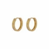 Accessorize Gold-Plated Crystal Star Chunky Hoops For Female -Accessorize Shop unnamed file 2258