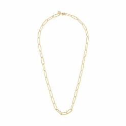 Accessorize Gold-Plated Oval Link Chain Necklace For Female