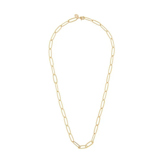 Accessorize Gold-Plated Oval Link Chain Necklace For Female 4 Accessorize Gold-Plated Oval Link Chain Necklace For Female - Image 2