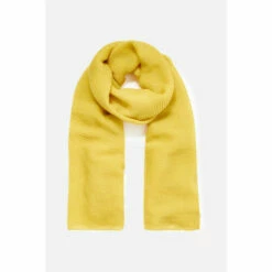 Accessorize Lightweight Pleat Scarf For Female -Accessorize Shop unnamed file 399