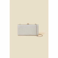 Accessorize Metallic Hardcase Clutch Bag For Female