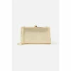 Accessorize Metallic Frame Clutch Bag For Female -Accessorize Shop unnamed file 866